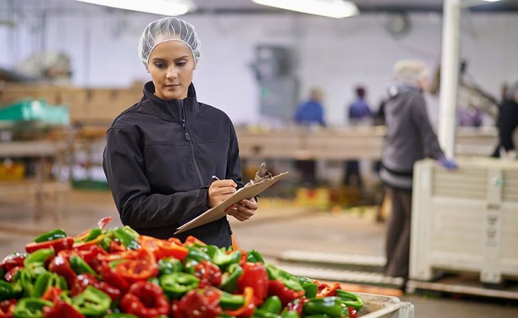 Junge Frau kontrolliert in einer Küche die Paprika.