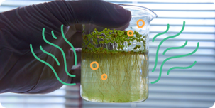 Umweltwissenschaft